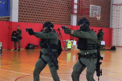 2 pistolja.jpg